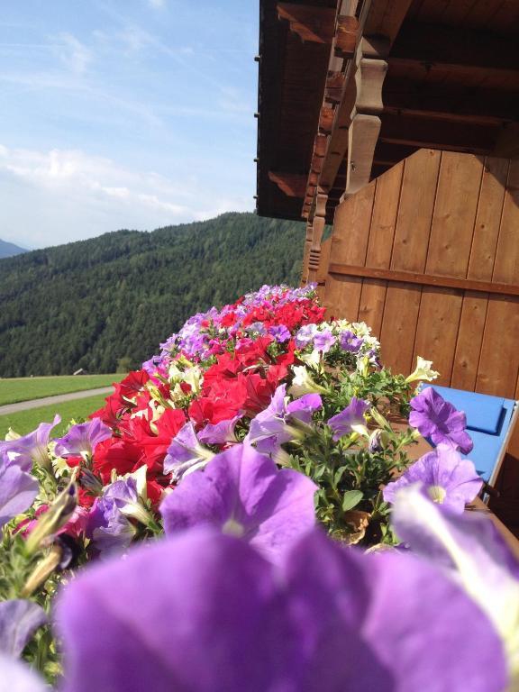 Gasthaus Zehrehof Brixen Zimmer foto